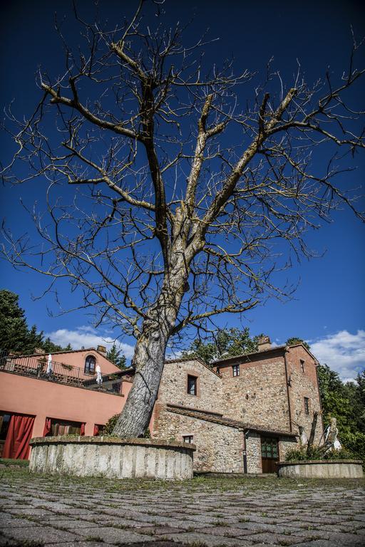 Agriturismo Casa Volaterra Volterra Exteriér fotografie